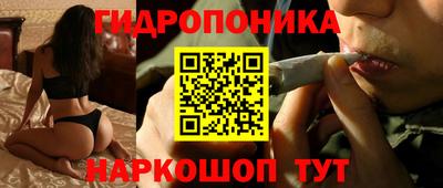 spice Кимры