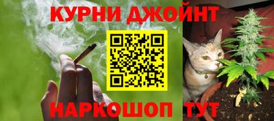 герыч Кингисепп
