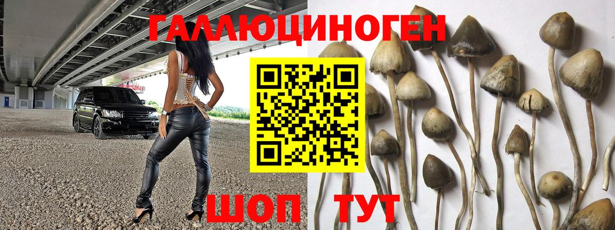 Биробиджан  Галлюциногенные грибы Psilocybe  Вход с VPN 